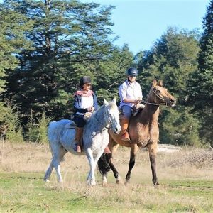 Cabalgata Parque Cumbres Selva Valdiviana