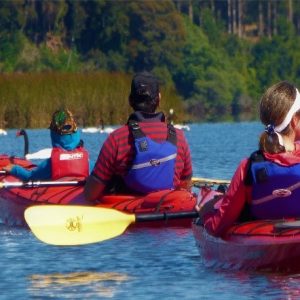 Kayak Santuario de la Naturaleza