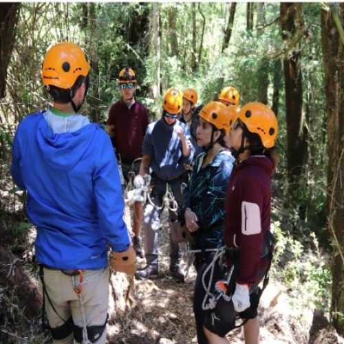 Conopy Selva Valdiviana